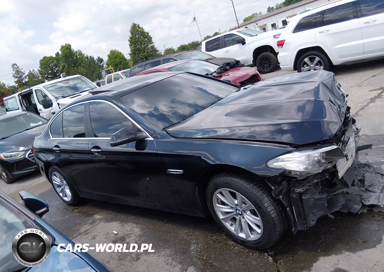 2016 BMW 528I VIN:WBA5A5C55GG352965 - 12