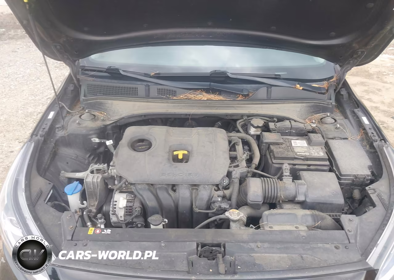 2019 Kia Forte Fe VIN:3KPF24AD6KE079732 - 10