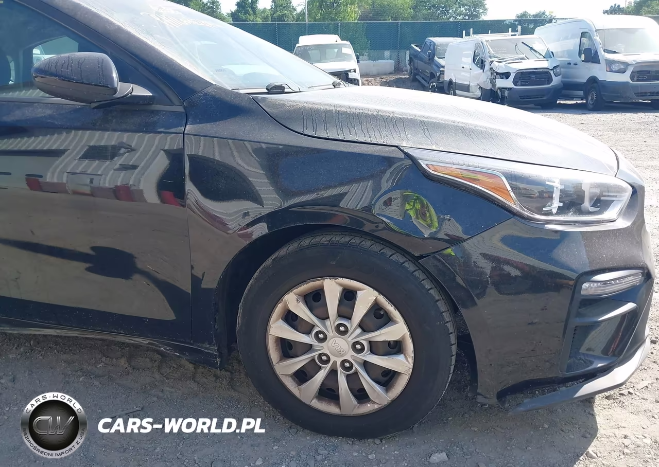 2019 Kia Forte Fe VIN:3KPF24AD6KE079732 - 17