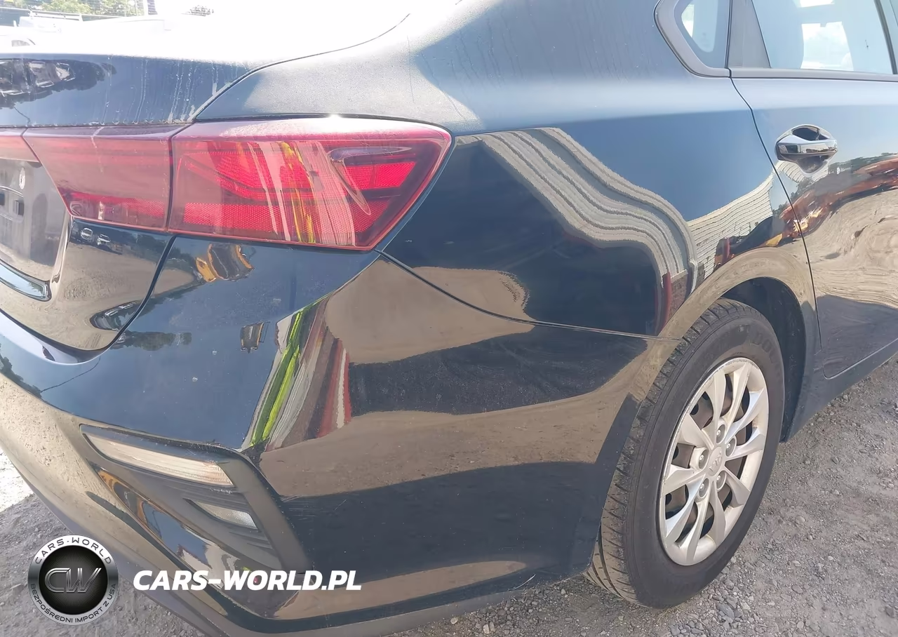 2019 Kia Forte Fe VIN:3KPF24AD6KE079732 - 19