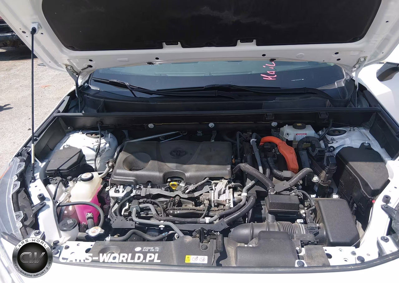 2019 Toyota Rav4 Hybrid Xle VIN:JTMRWRFV0KD029393 - 10