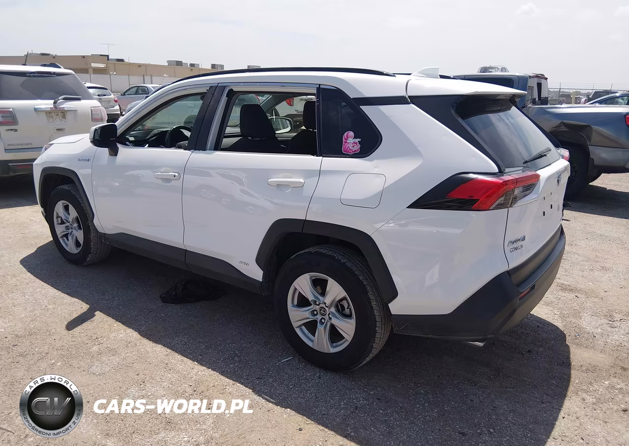 2019 Toyota Rav4 Hybrid Xle VIN:JTMRWRFV0KD029393 - 3
