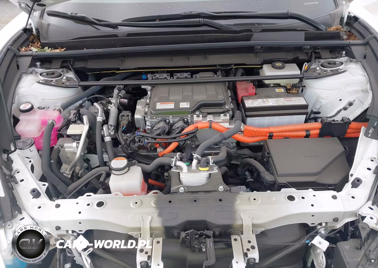 2024 Lexus Rz 300E Premium VIN:JTJABABB5RA000924 - 10