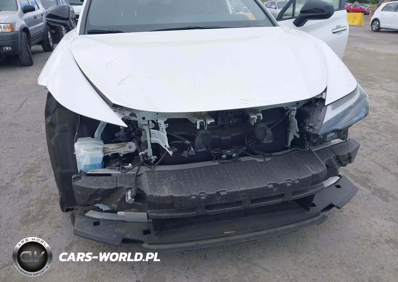 2024 Lexus Rz 300E Premium VIN:JTJABABB5RA000924 - 6