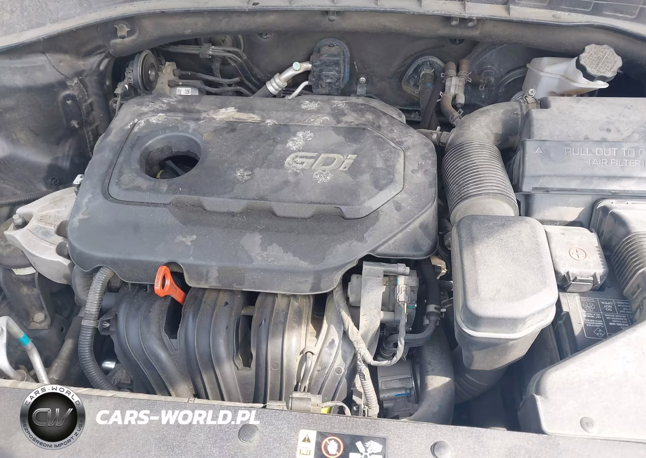 2018 Kia Sorento 2.4L Lx VIN:5XYPG4A36JG366664 - 10