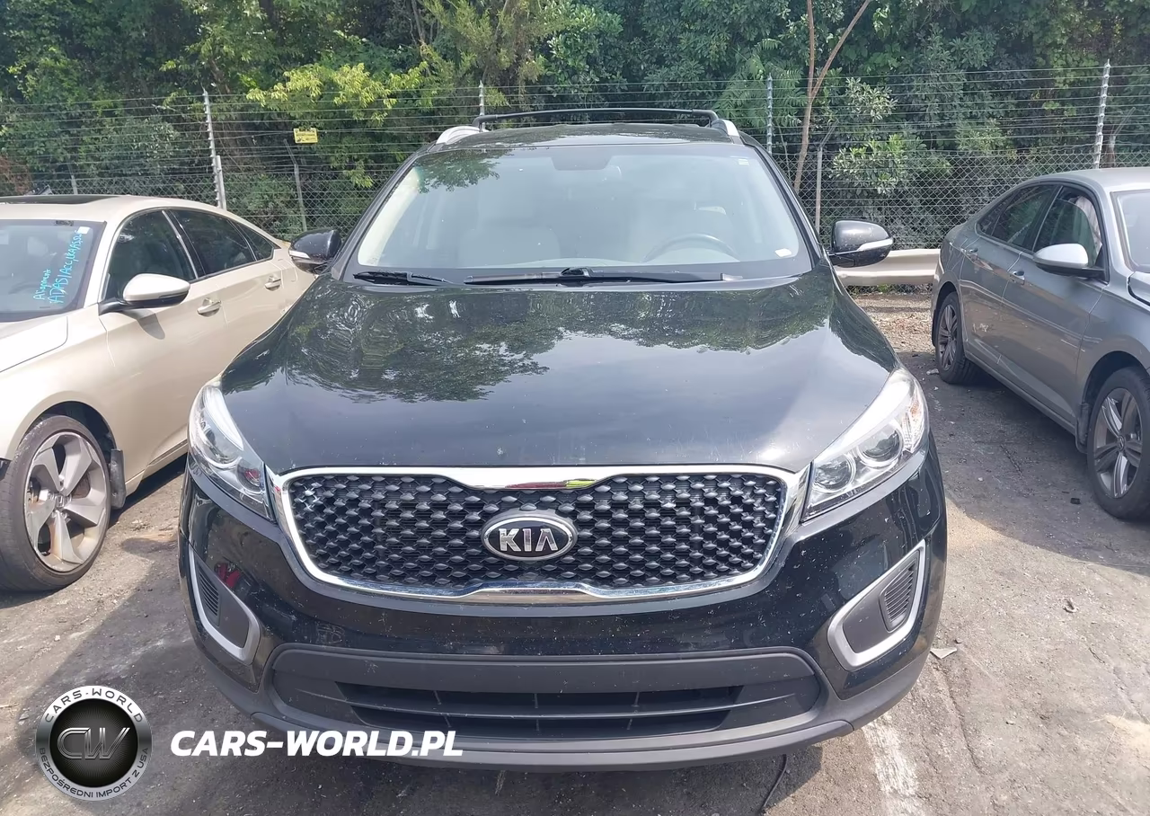 2018 Kia Sorento 2.4L Lx VIN:5XYPG4A36JG366664 - 12