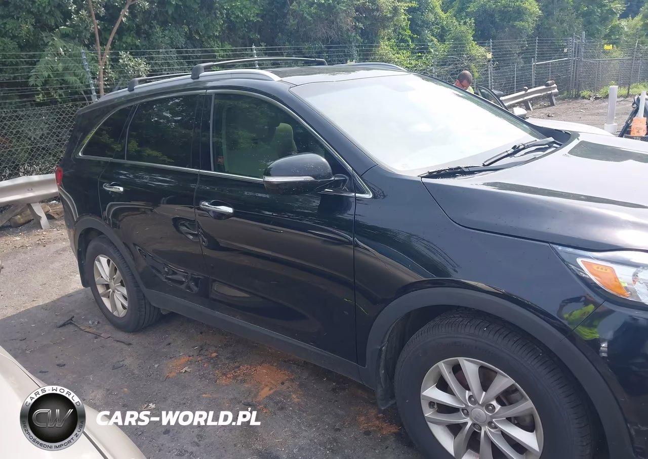 2018 Kia Sorento 2.4L Lx VIN:5XYPG4A36JG366664 - 13