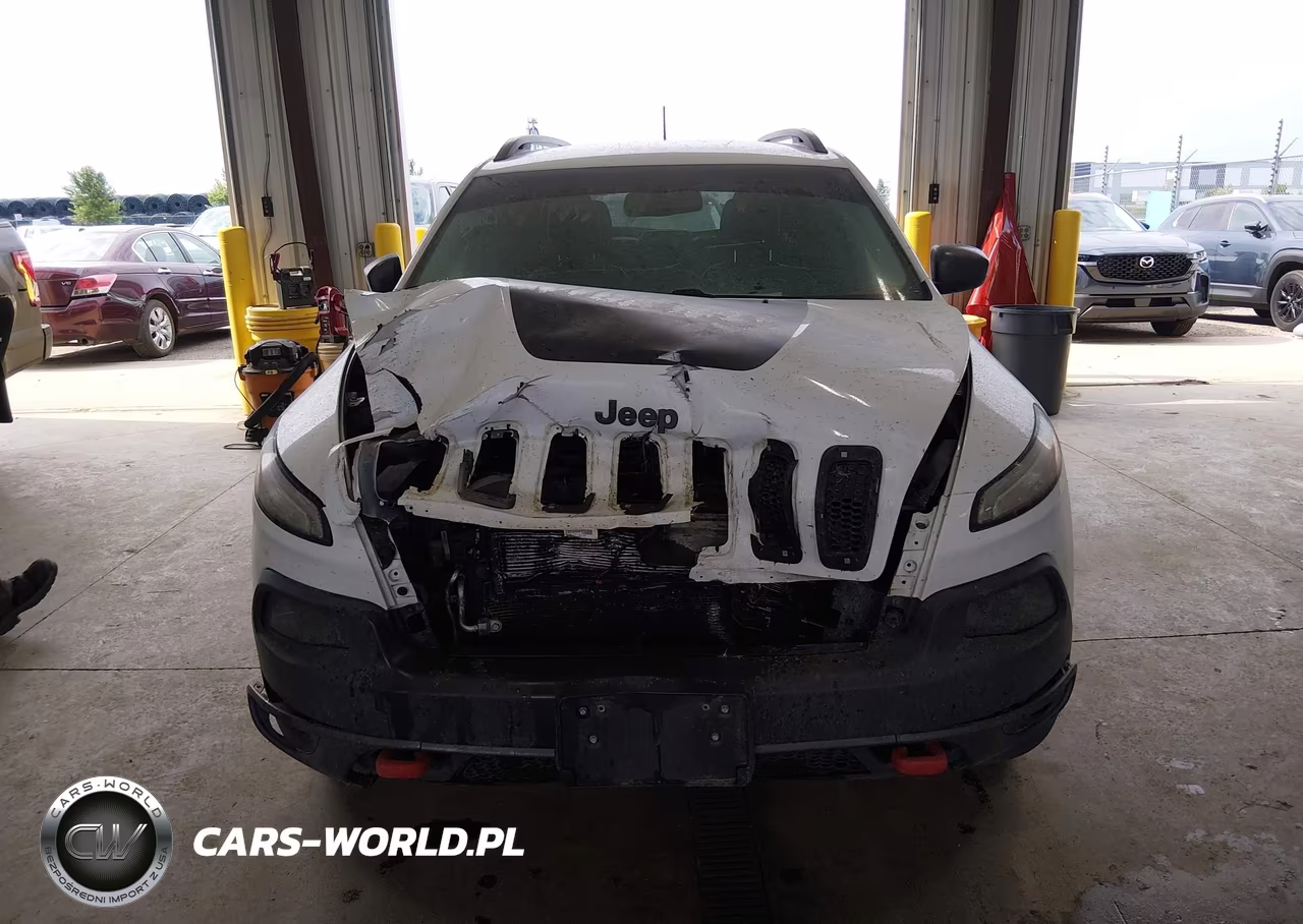 2016 Jeep Cherokee Trailhawk VIN:1C4PJMBS9GW172505 - 12