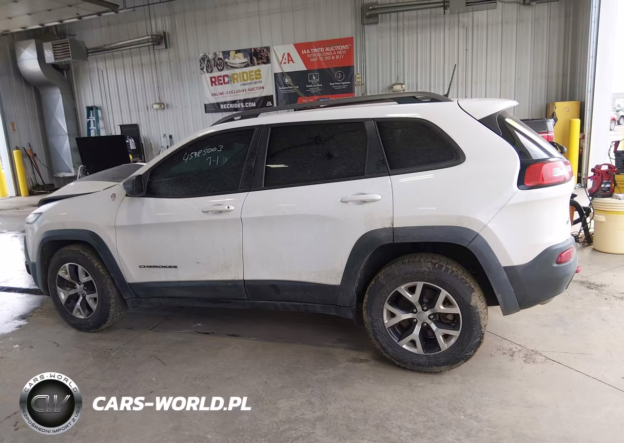 2016 Jeep Cherokee Trailhawk VIN:1C4PJMBS9GW172505 - 14