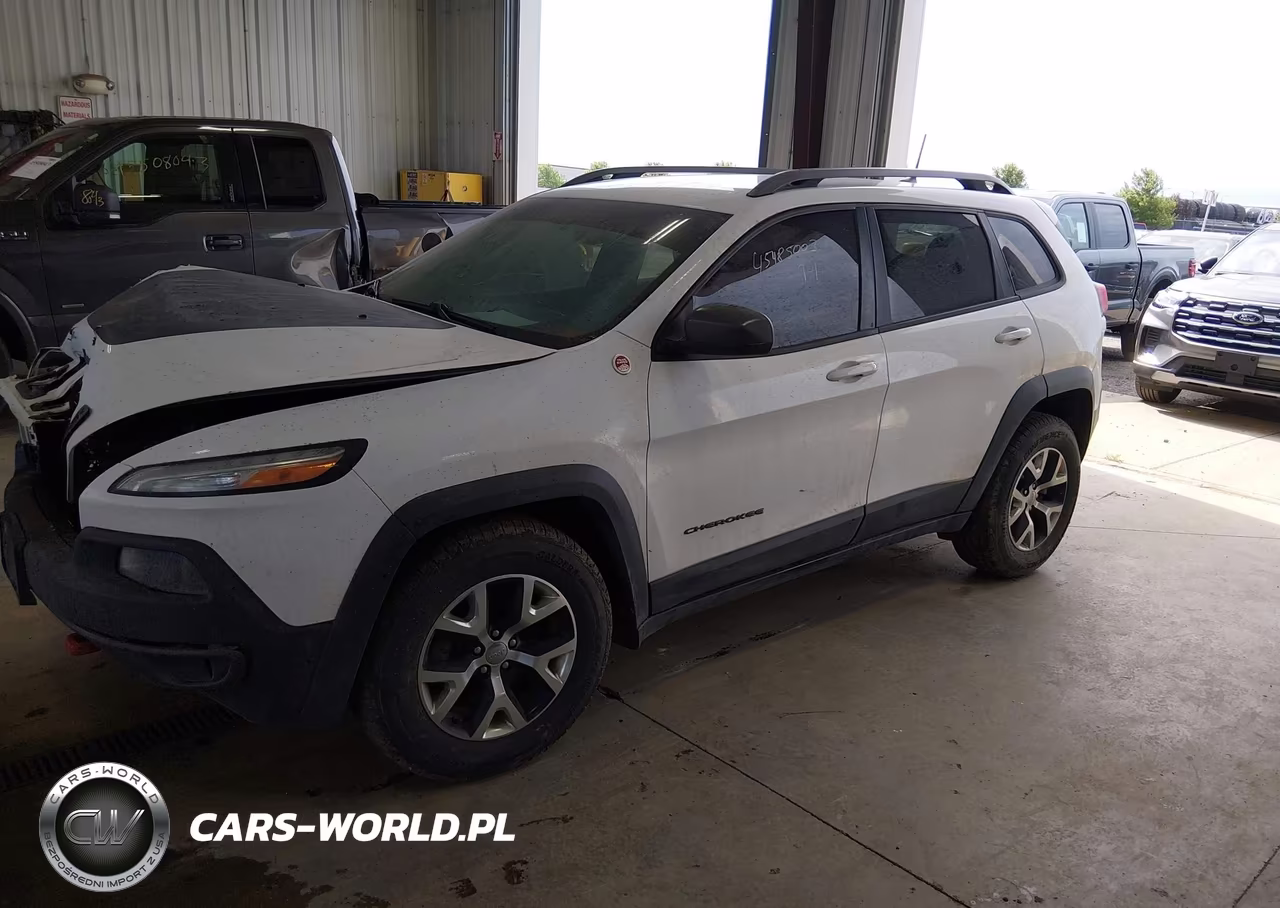 2016 Jeep Cherokee Trailhawk VIN:1C4PJMBS9GW172505 - 2