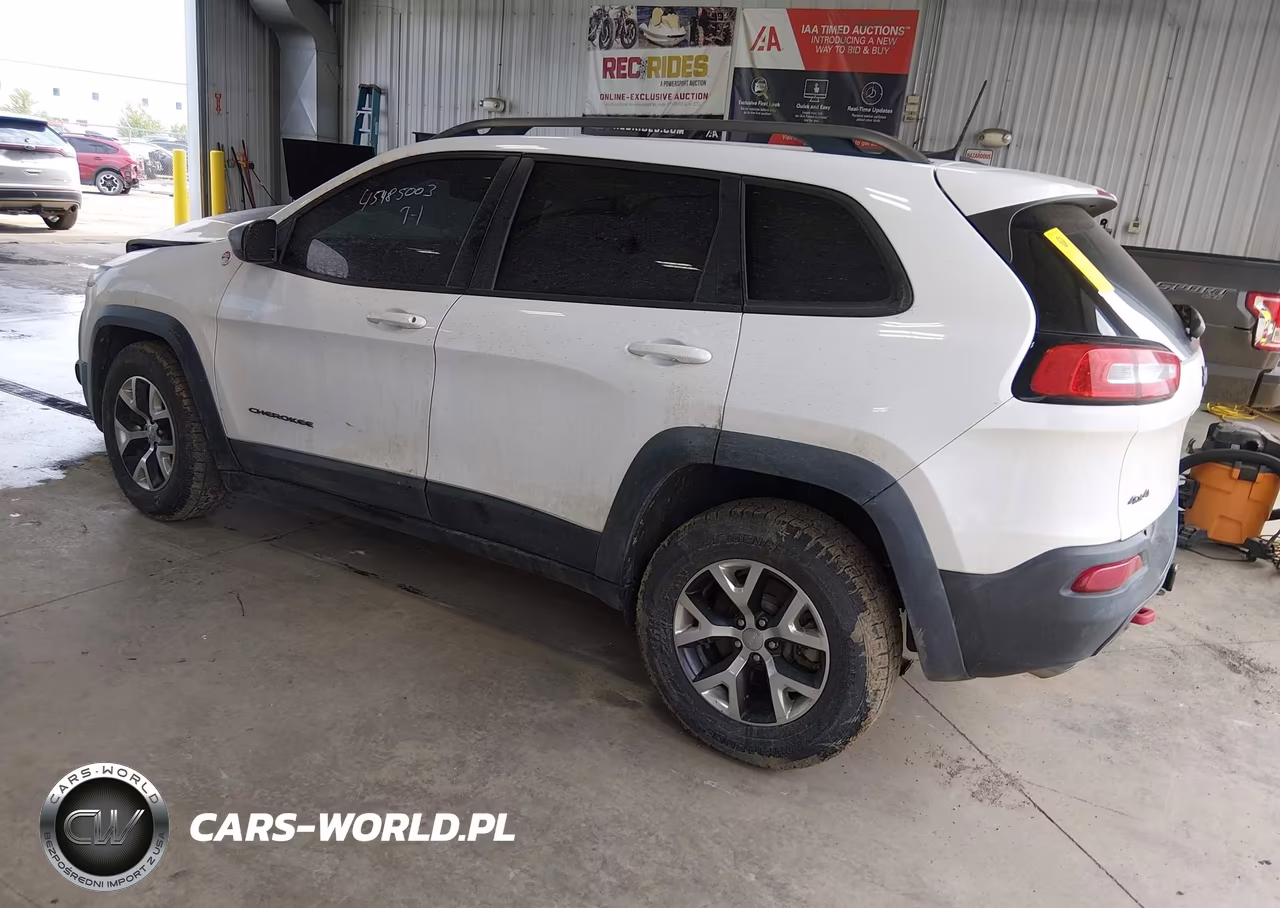 2016 Jeep Cherokee Trailhawk VIN:1C4PJMBS9GW172505 - 3