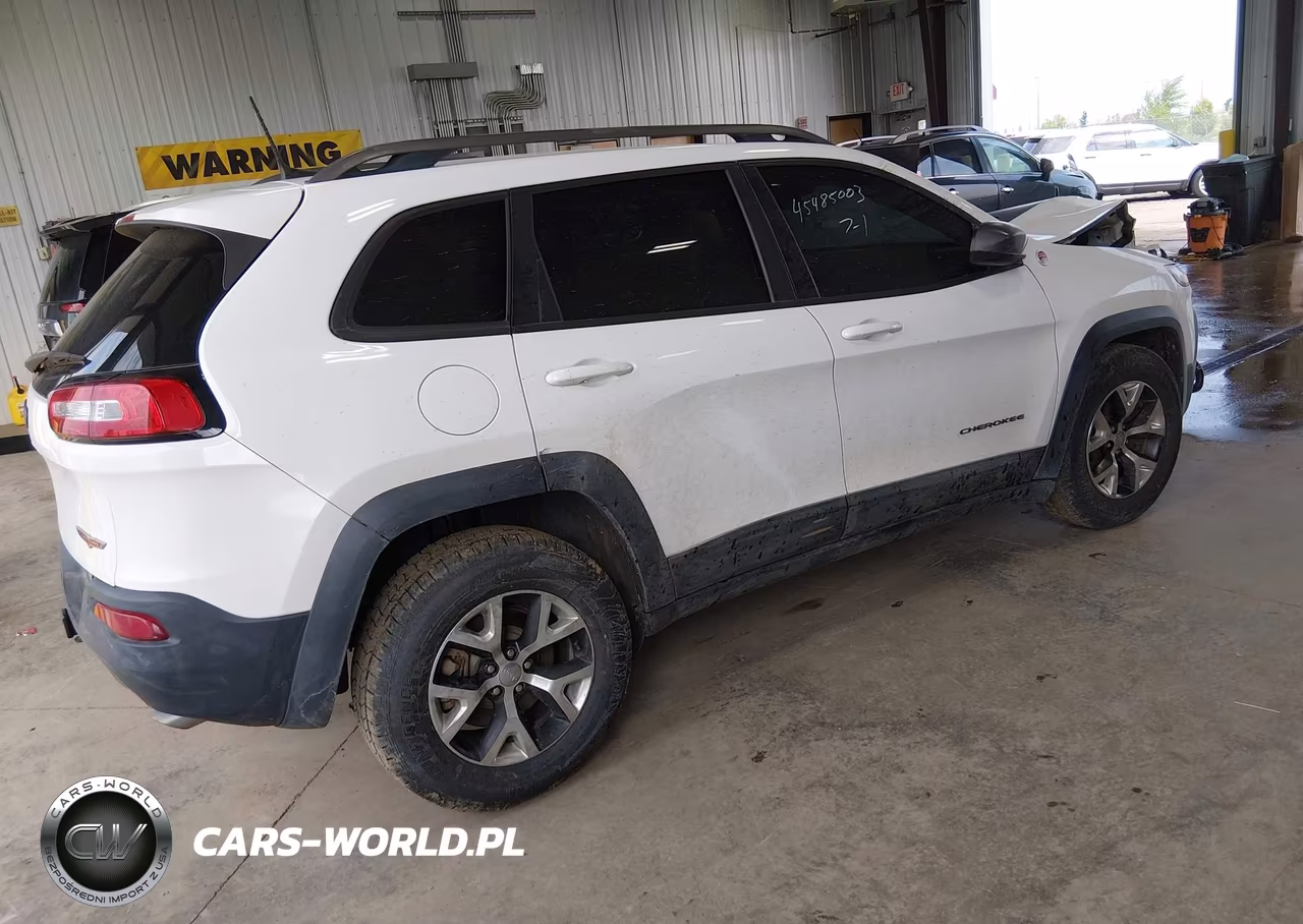 2016 Jeep Cherokee Trailhawk VIN:1C4PJMBS9GW172505 - 4