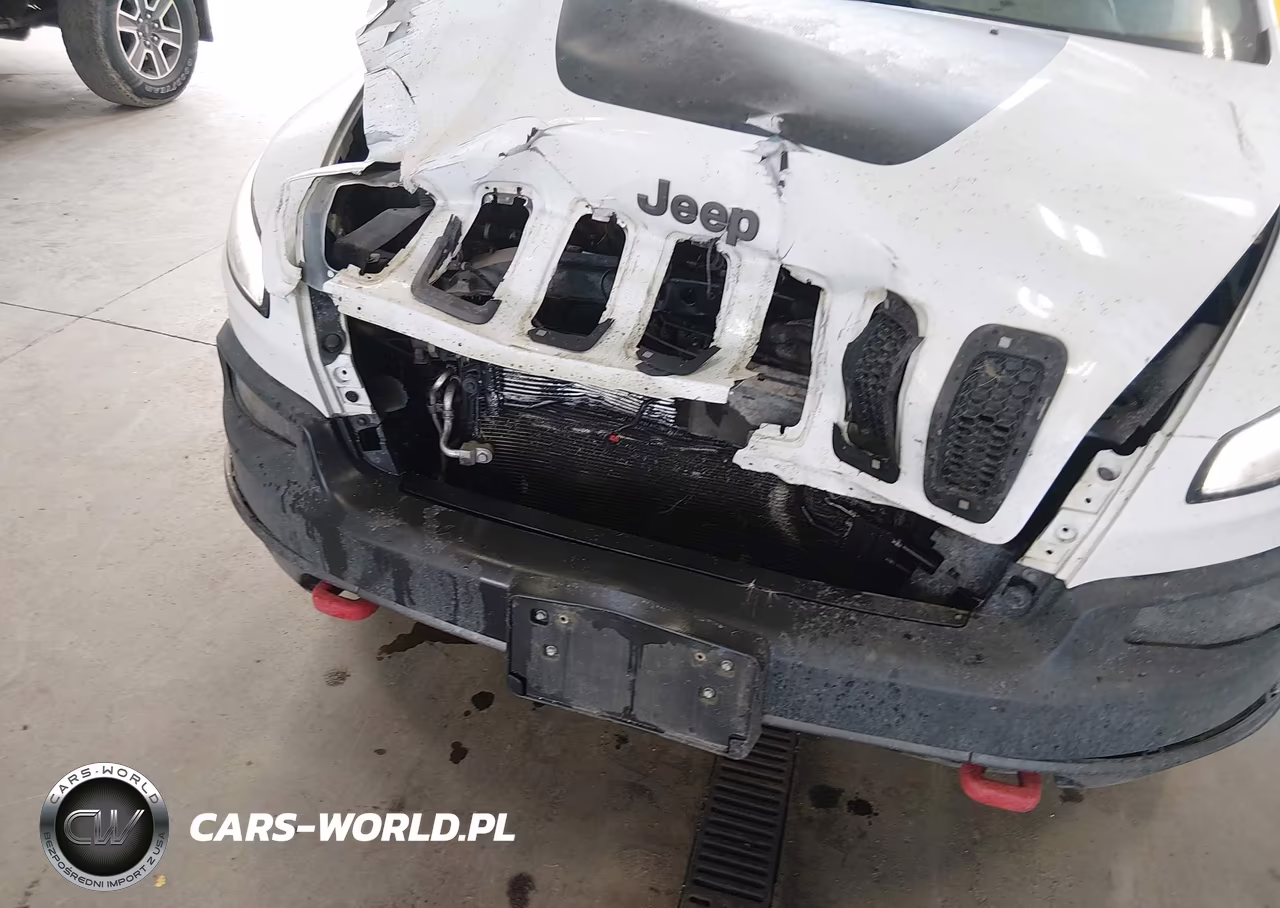 2016 Jeep Cherokee Trailhawk VIN:1C4PJMBS9GW172505 - 6