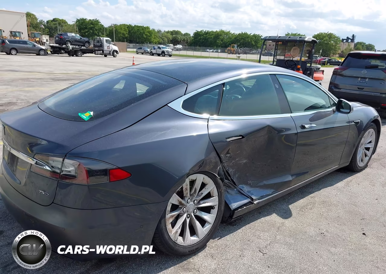 2017 Tesla Model S 100D-60D-75D-90D-P100D VIN:5YJSA1E29HF229893 - 6