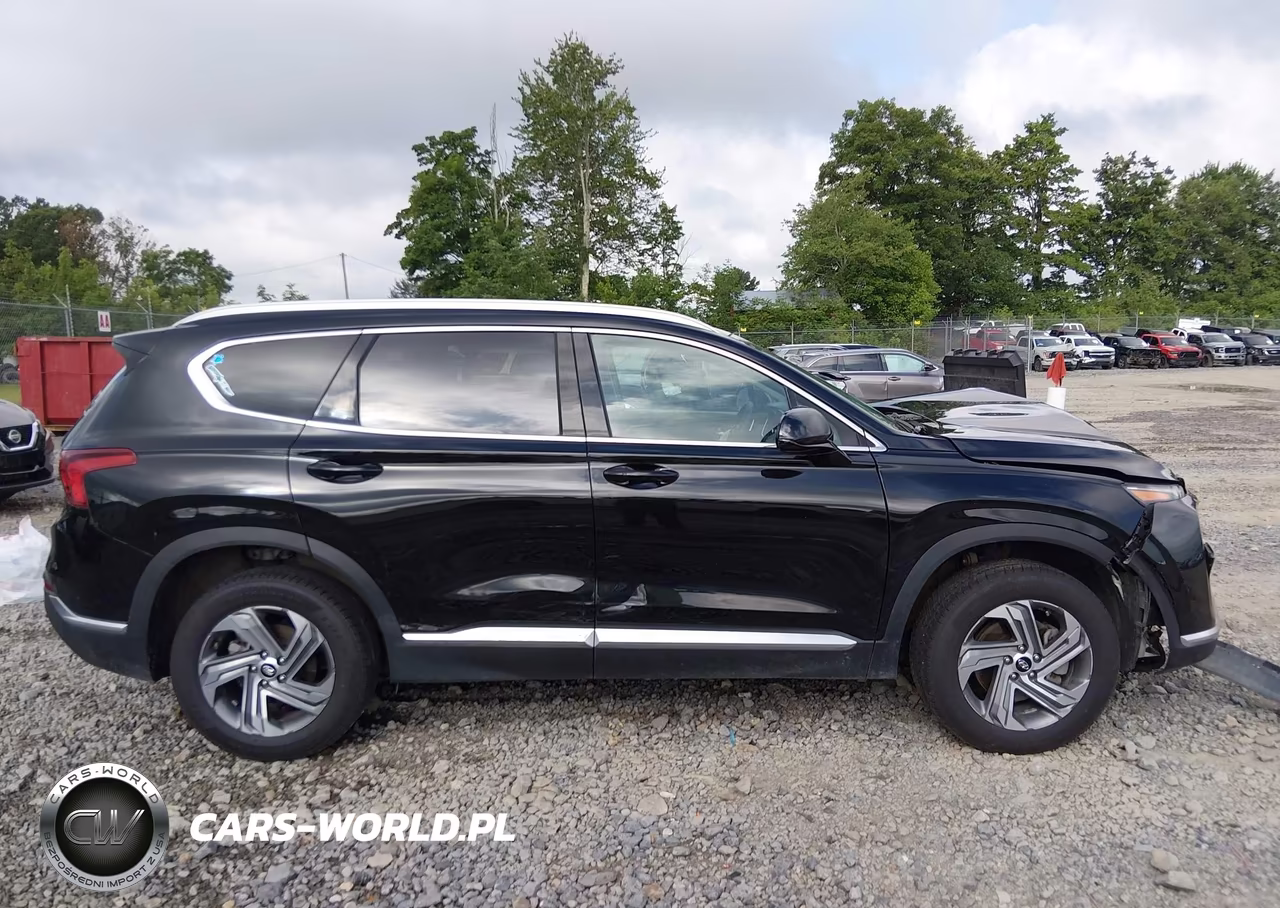 2022 Hyundai Santa Fe Sel VIN:5NMS2DAJ5NH483736 - 13