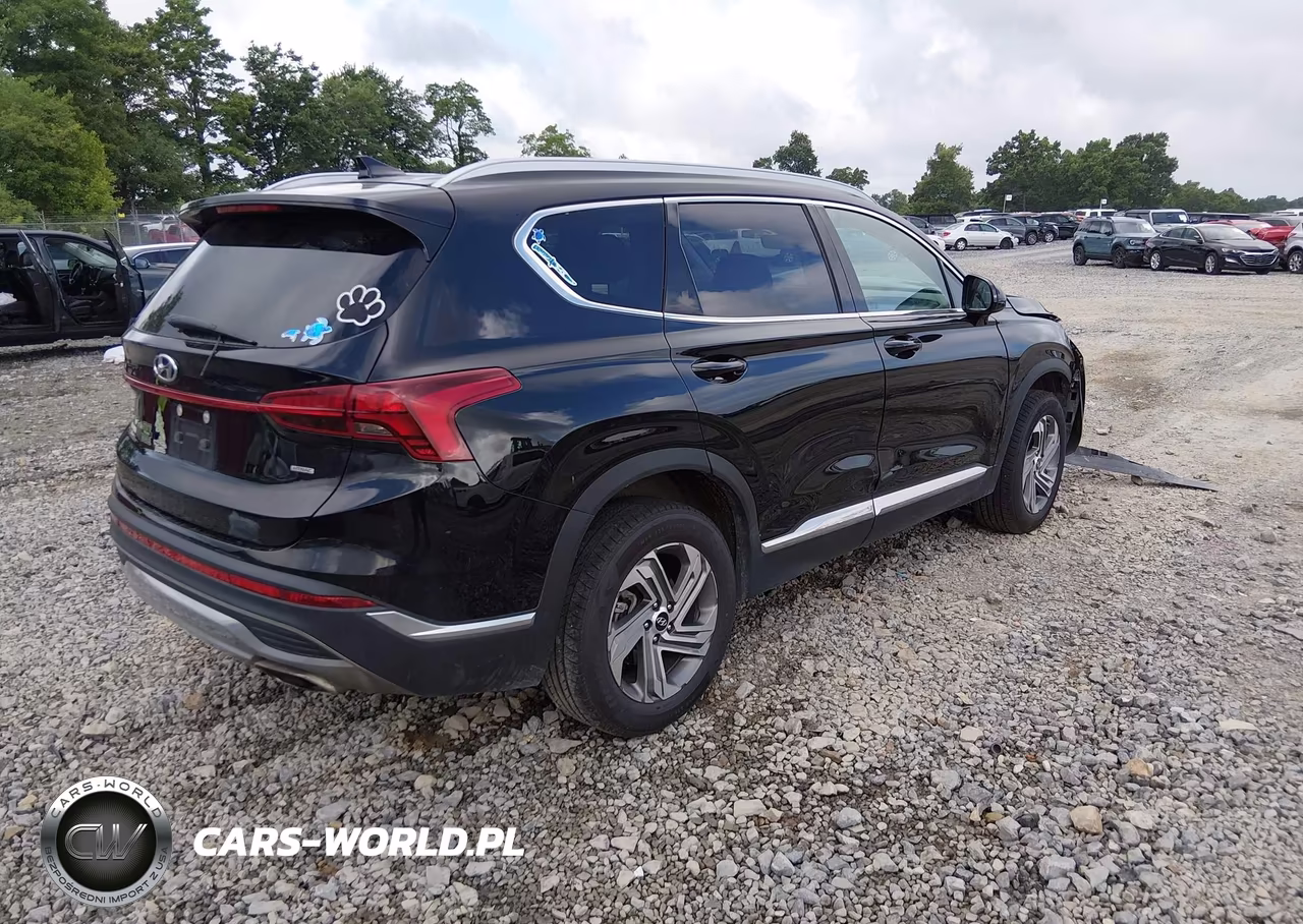 2022 Hyundai Santa Fe Sel VIN:5NMS2DAJ5NH483736 - 4