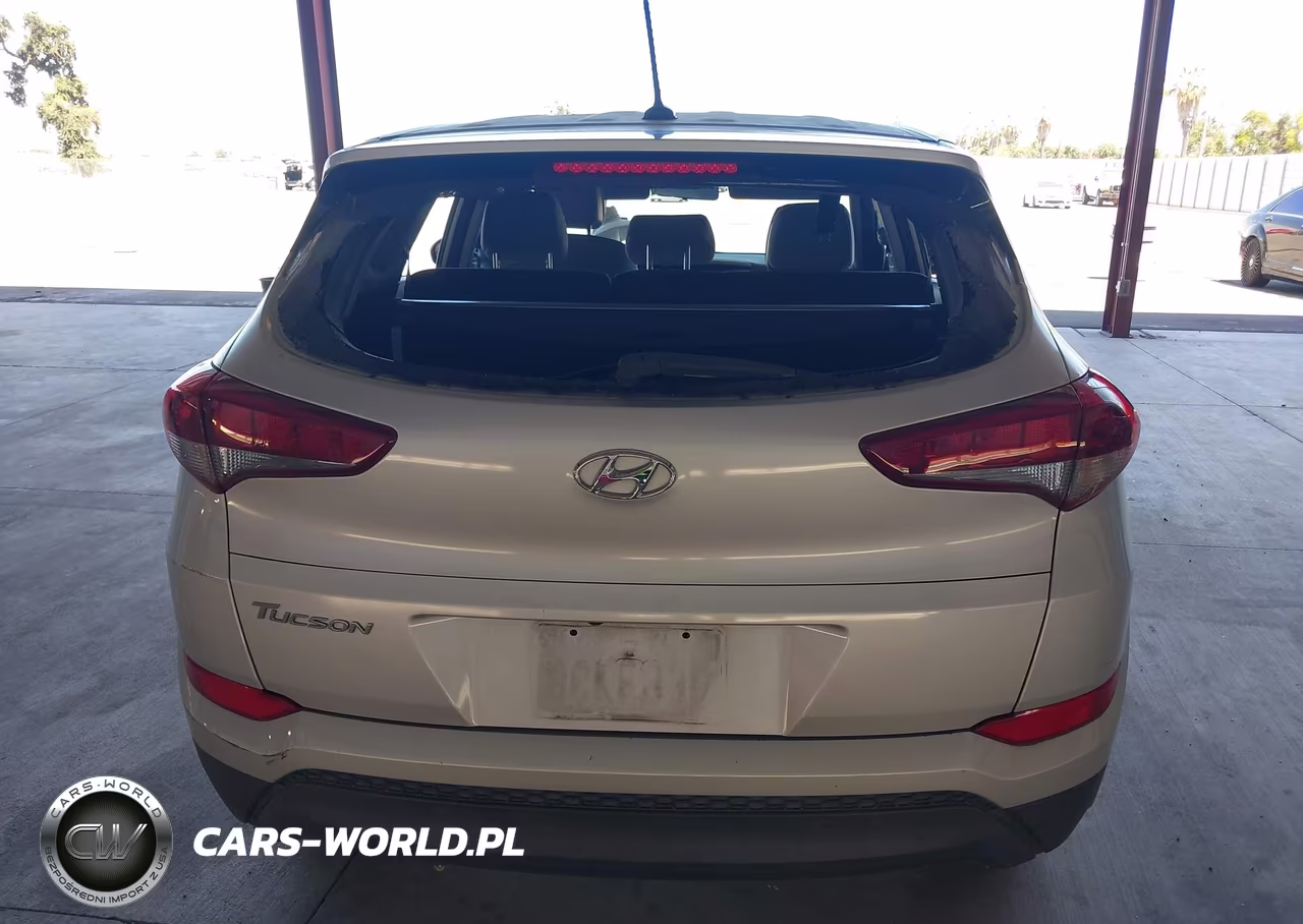 2017 Hyundai Tucson Se VIN:KM8J23A49HU569852 - 16