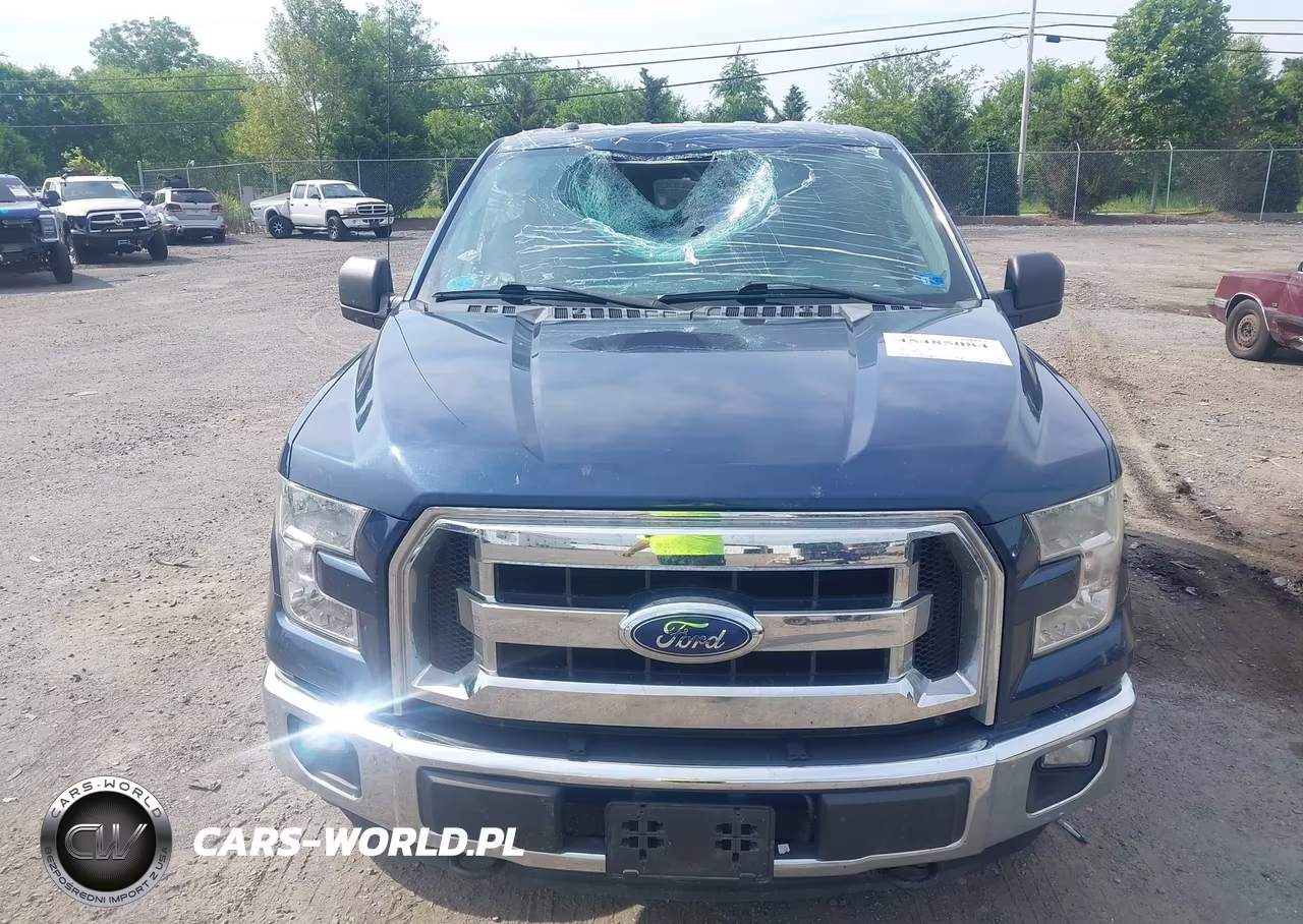 2016 Ford F-150 Xlt VIN:1FTFW1EFXGFC92663 - 12