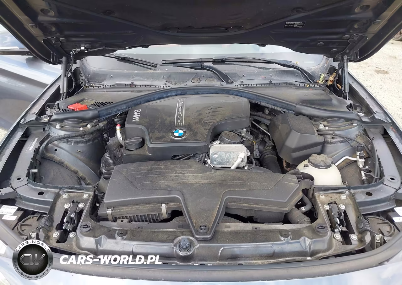 2014 BMW 428I xDrive VIN:WBA3N5C59EF717226 - 10