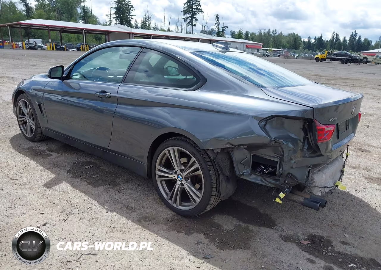 2014 BMW 428I xDrive VIN:WBA3N5C59EF717226 - 3