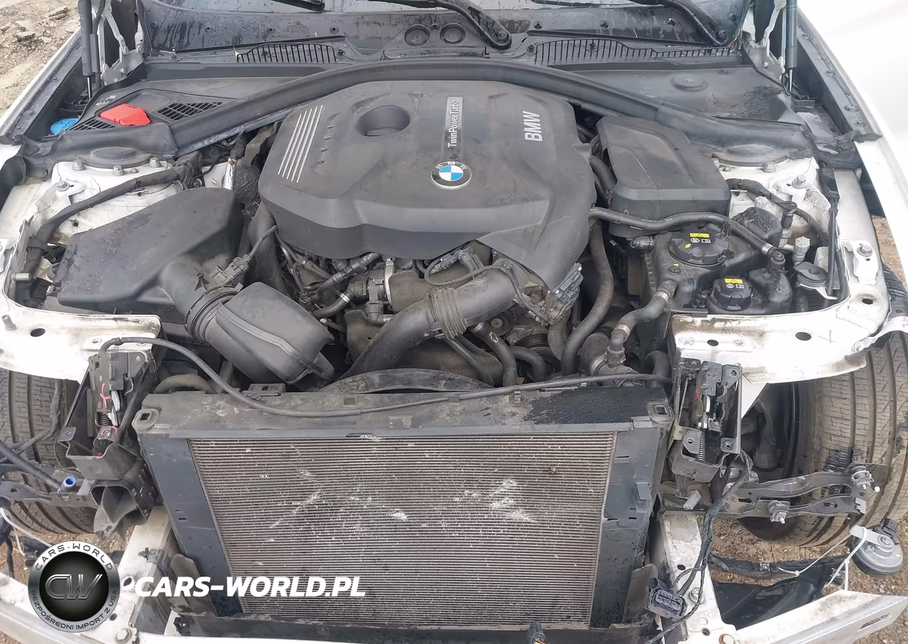 2017 BMW 230I xDrive VIN:WBA2M9C3XHV717749 - 10