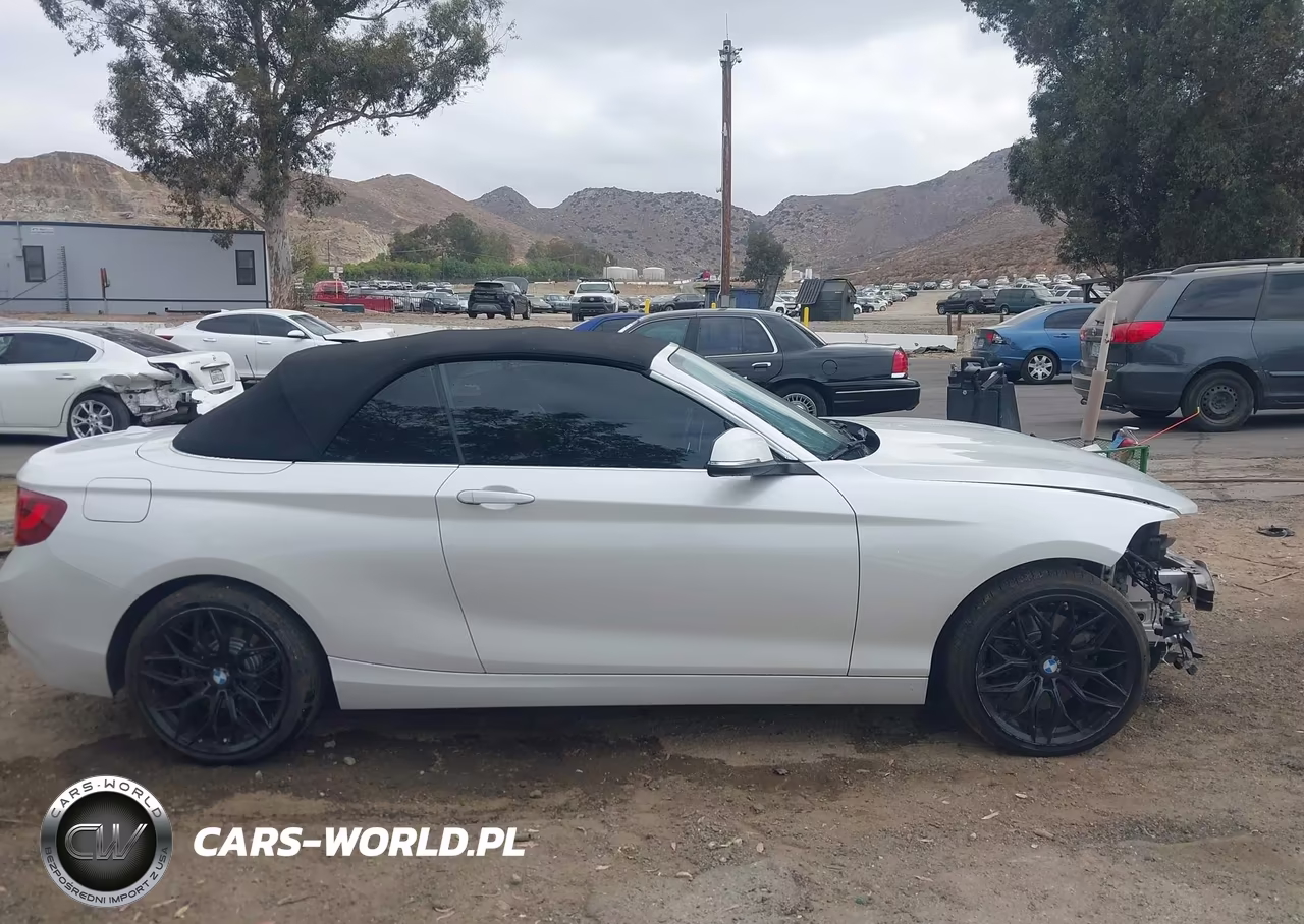 2017 BMW 230I xDrive VIN:WBA2M9C3XHV717749 - 14