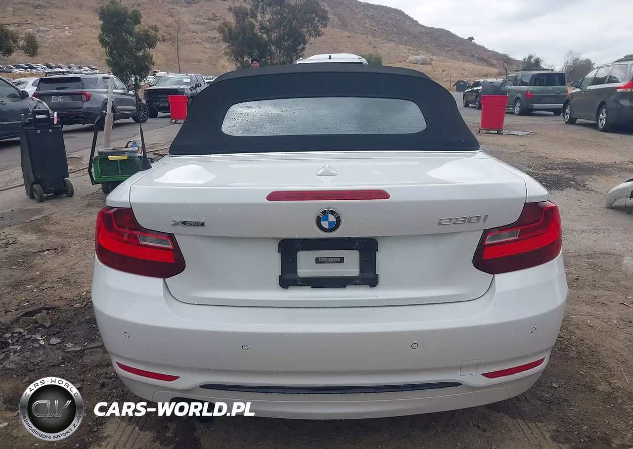 2017 BMW 230I xDrive VIN:WBA2M9C3XHV717749 - 17