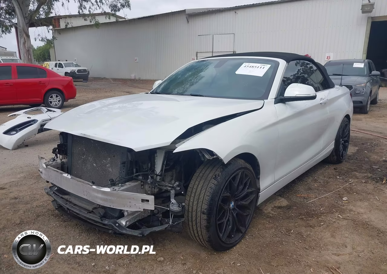 2017 BMW 230I xDrive VIN:WBA2M9C3XHV717749 - 2