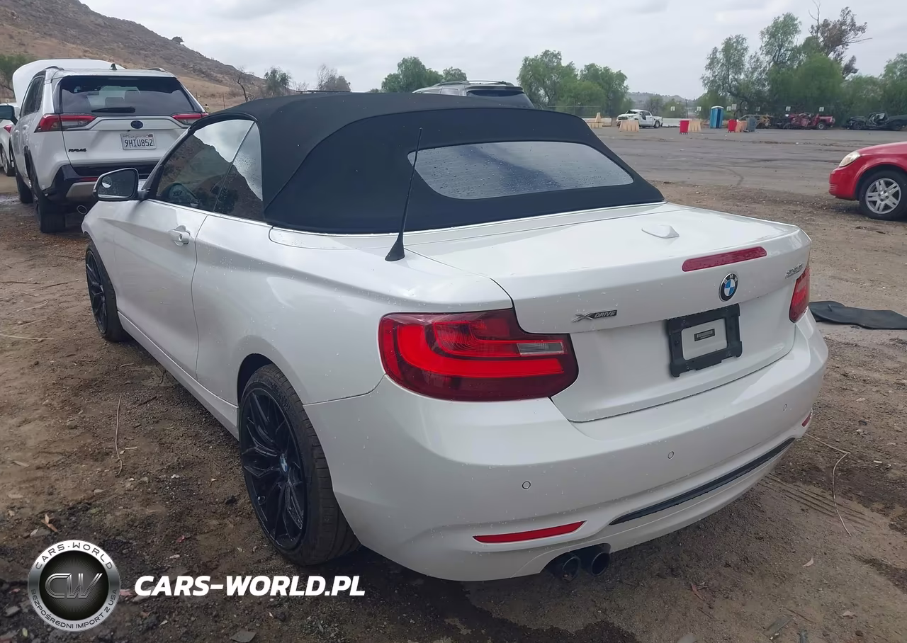 2017 BMW 230I xDrive VIN:WBA2M9C3XHV717749 - 3
