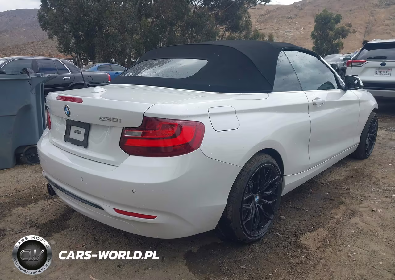 2017 BMW 230I xDrive VIN:WBA2M9C3XHV717749 - 4