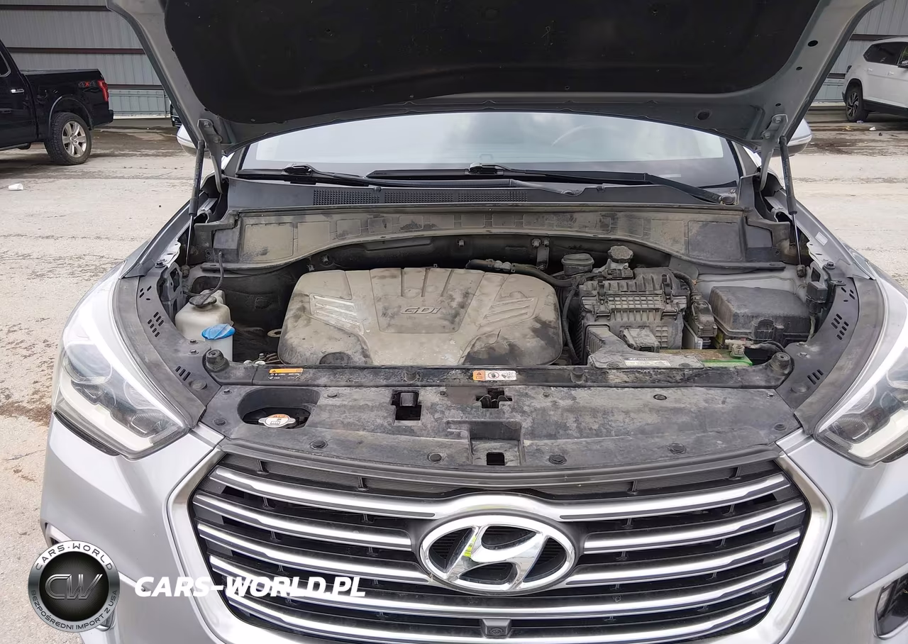2017 Hyundai Santa Fe Limited Ultimate VIN:KM8SRDHFXHU234029 - 10