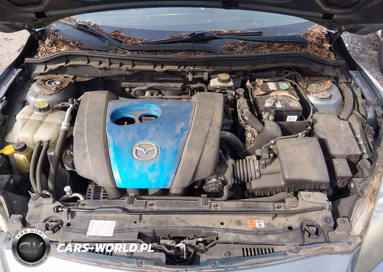 2013 Mazda Mazda3 I Sport VIN:JM1BL1UP9D1789455 - 10