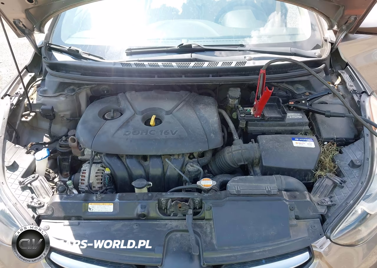 2012 Hyundai Elantra Gls VIN:5NPDH4AE1CH099950 - 10