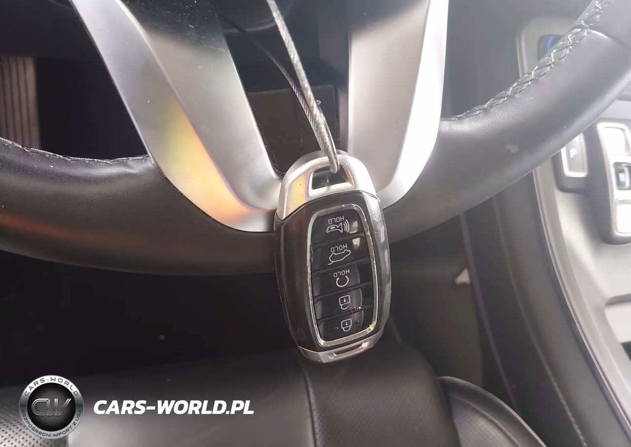 2021 Hyundai Palisade Limited VIN:KM8R5DHE7MU195122 - 11