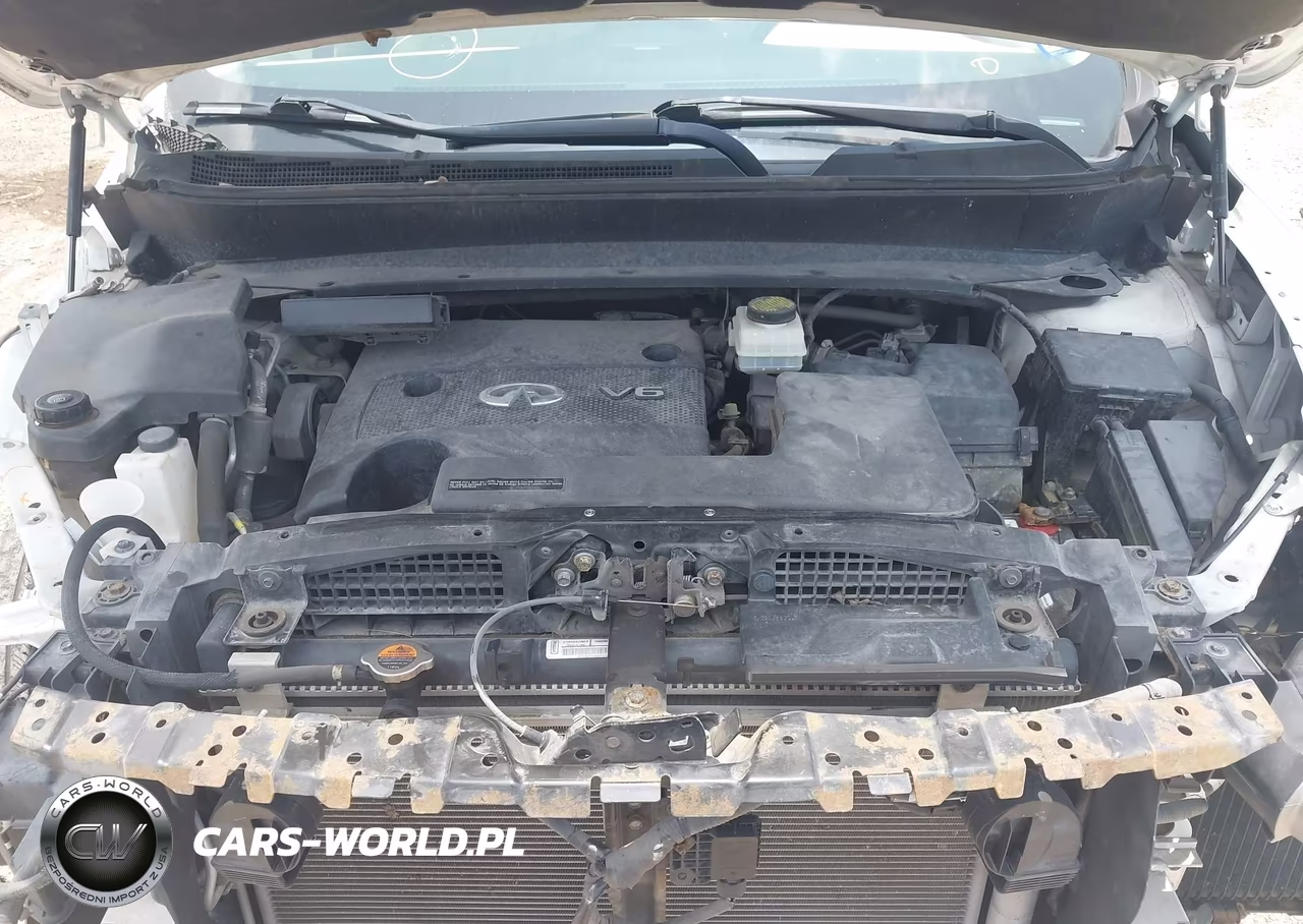2015 Infiniti Qx60 VIN:5N1AL0MM3FC536193 - 10