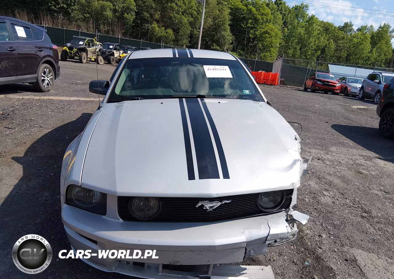 2007 Ford Mustang V6 Deluxe-V6 Premium VIN:1ZVHT80N575266094 - 12