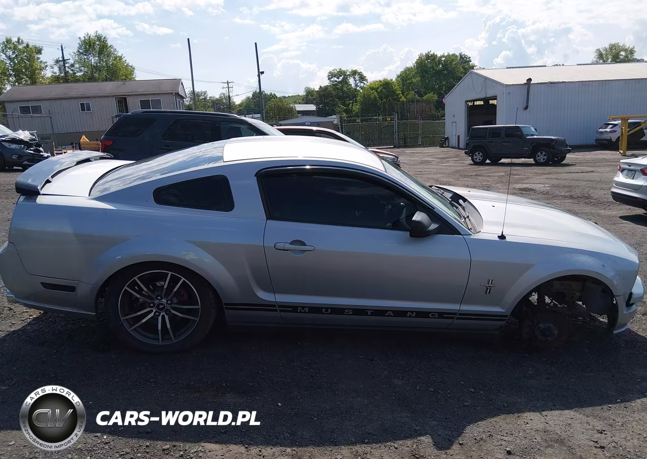 2007 Ford Mustang V6 Deluxe-V6 Premium VIN:1ZVHT80N575266094 - 13