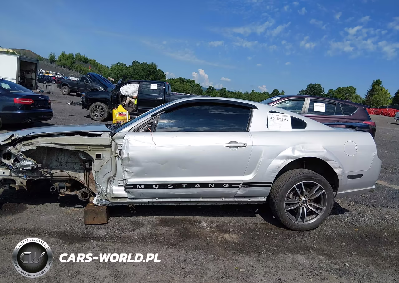 2007 Ford Mustang V6 Deluxe-V6 Premium VIN:1ZVHT80N575266094 - 14