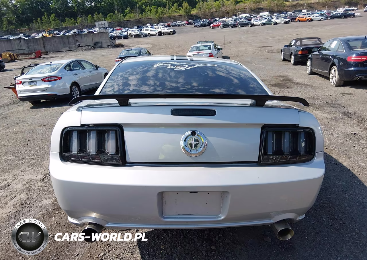 2007 Ford Mustang V6 Deluxe-V6 Premium VIN:1ZVHT80N575266094 - 16