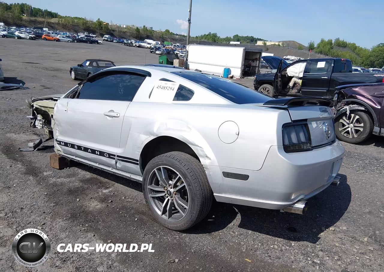 2007 Ford Mustang V6 Deluxe-V6 Premium VIN:1ZVHT80N575266094 - 3