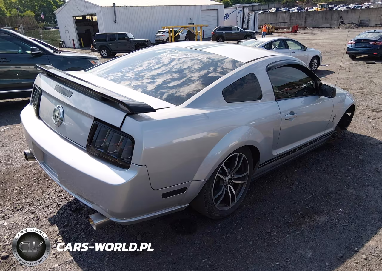 2007 Ford Mustang V6 Deluxe-V6 Premium VIN:1ZVHT80N575266094 - 4