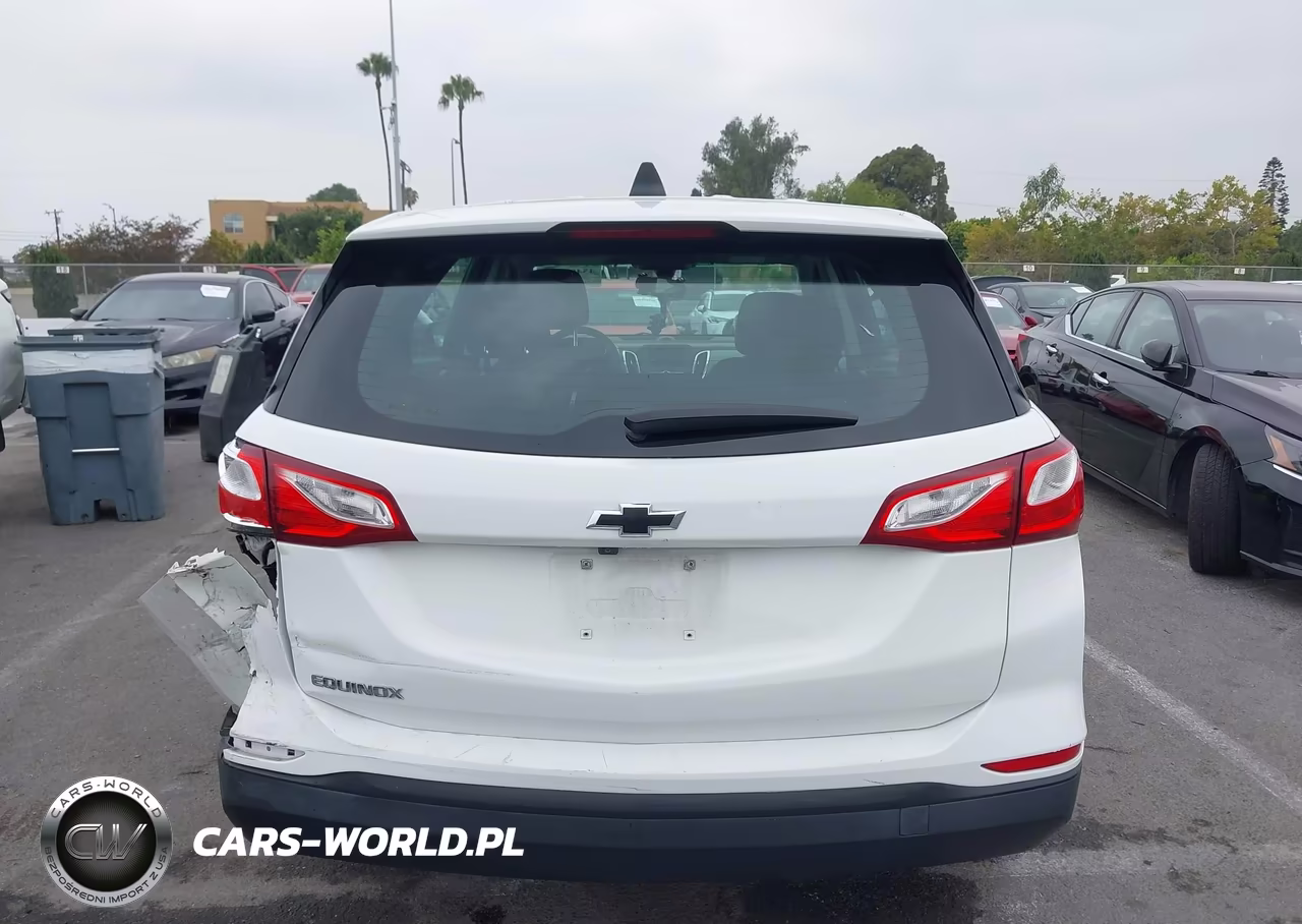 2019 Chevrolet Equinox Ls VIN:3GNAXHEVXKS636186 - 16