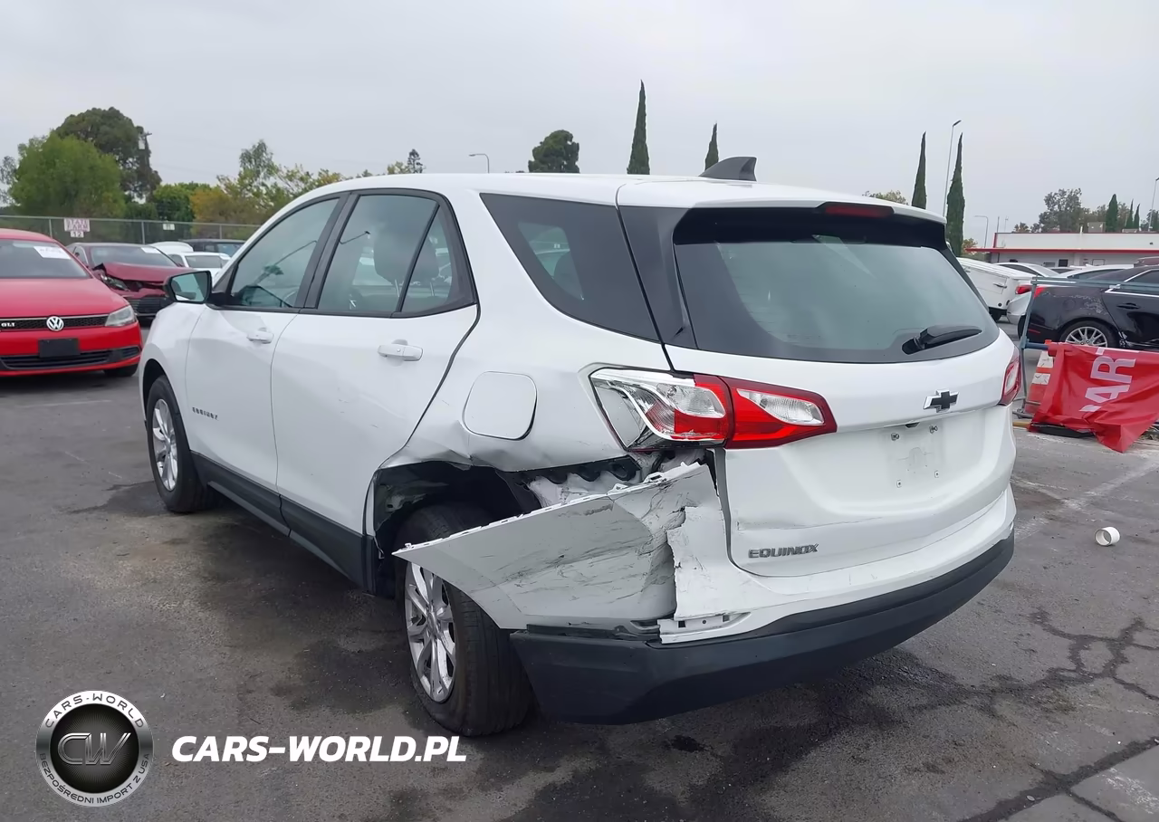 2019 Chevrolet Equinox Ls VIN:3GNAXHEVXKS636186 - 3