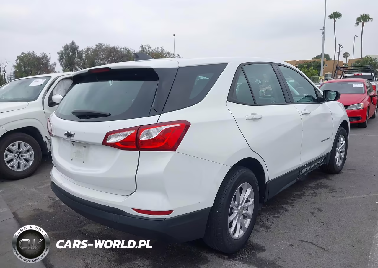 2019 Chevrolet Equinox Ls VIN:3GNAXHEVXKS636186 - 4