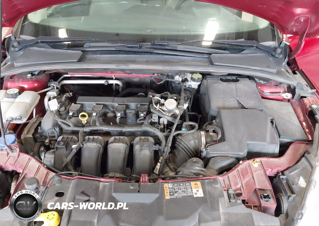 2016 Ford Focus Titanium VIN:1FADP3N27GL339636 - 10