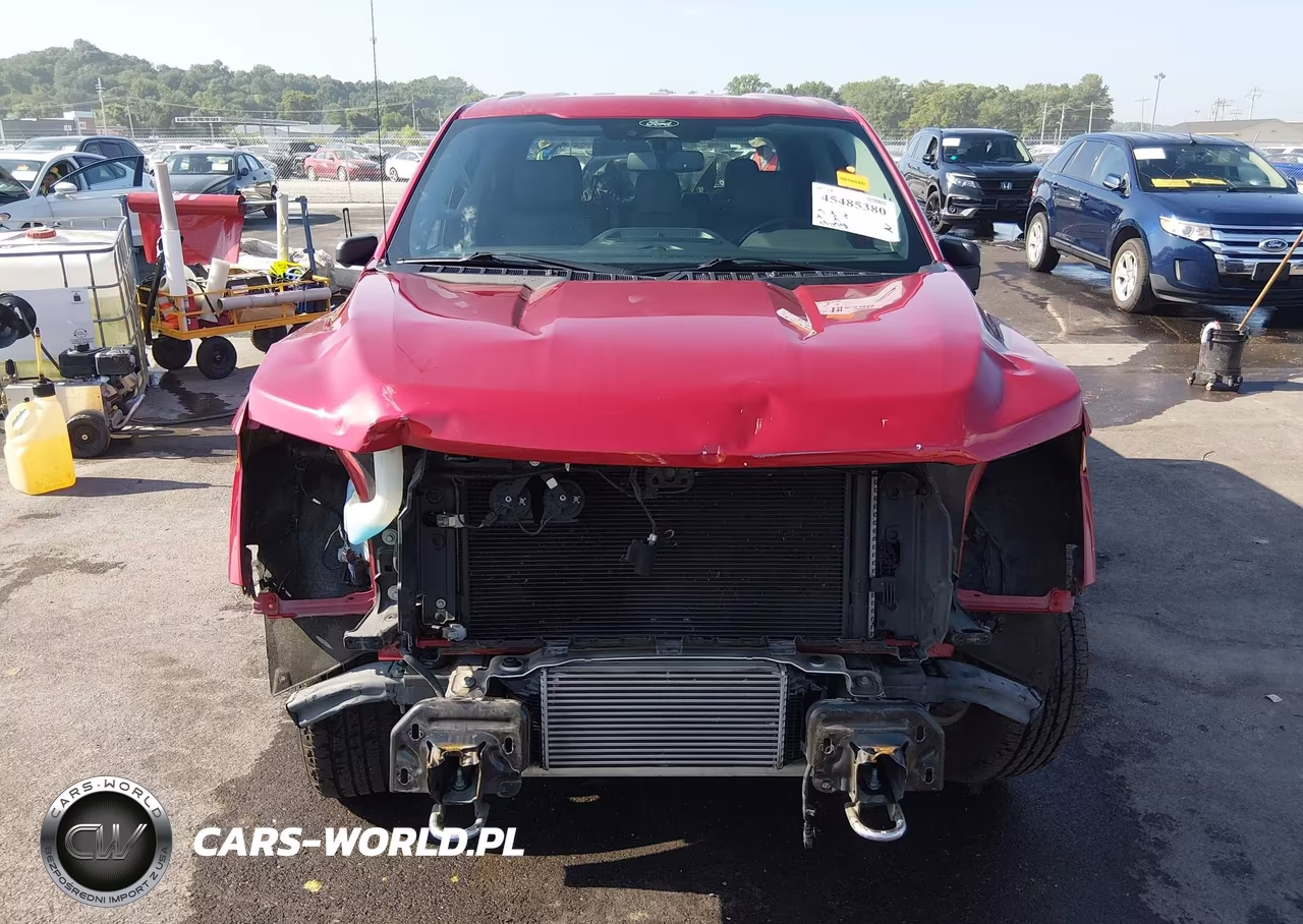 2021 Ford F-150 Xlt VIN:1FTEW1EP1MKD09745 - 13