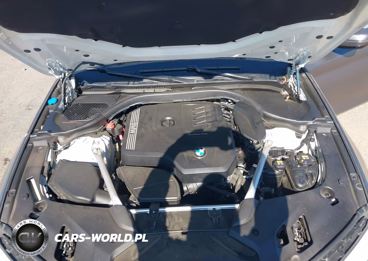 2020 BMW 530I VIN:WBAJR3C03LCE48100 - 10
