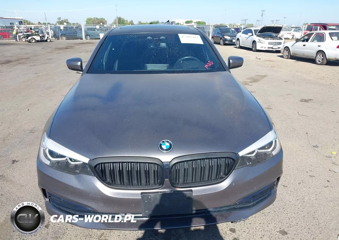2020 BMW 530I VIN:WBAJR3C03LCE48100 - 12