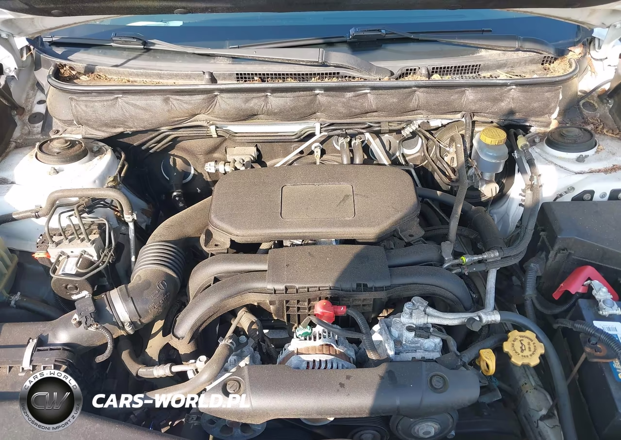 2010 Subaru Outback 2.5I Premium VIN:4S4BRCGC4A3336892 - 10