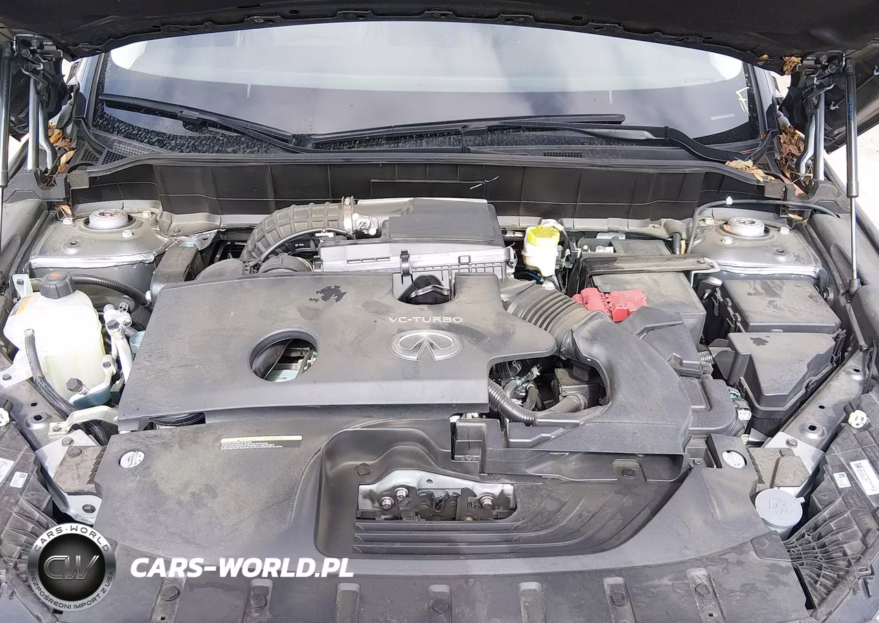2023 Infiniti Qx50 Luxe VIN:3PCAJ5BA6PF119929 - 10